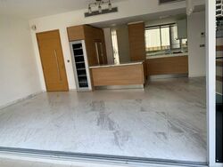 Suites @ Cairnhill (D9), Apartment #460648751